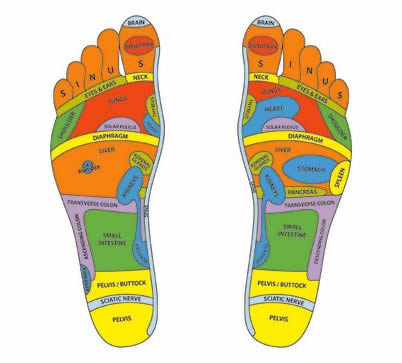 foot-zone-reflexology